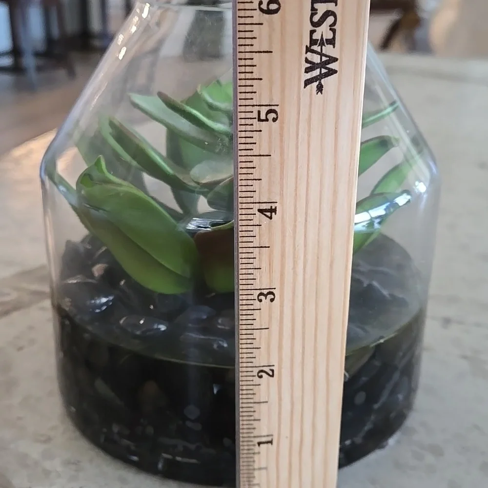 Glass Terrarium with Green Succulent